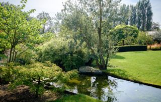 grand parc avec lac bordé d'arbres et plantes aquatiques