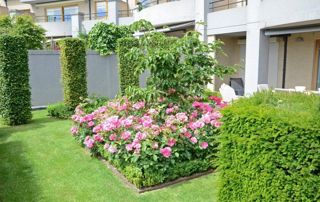 beau jardin bien aménagé