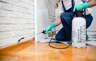 produits insecticides