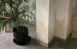 traces de salpêtre