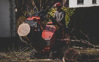 évacuation des branches après un abattage