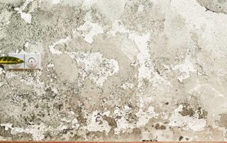 Mur avec problème d'humidité