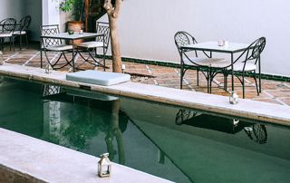 piscine avec chaises de jardin aux abords